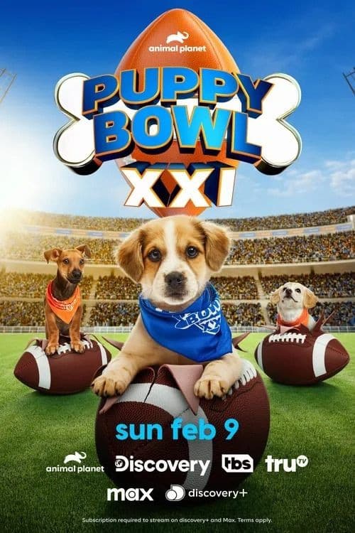 puppy-bowl-xxi-2025
